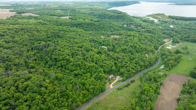 N1024 385th St, Maiden Rock, WI 54750 - aerial view of a large body of water and a forest
