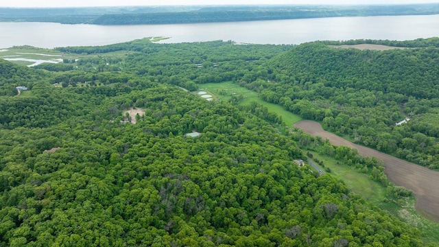 N1024 385th St, Maiden Rock, WI 54750 - drone / aerial view of a nearby body of water and a forest