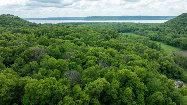 N1024 385th St, Maiden Rock, WI 54750 - drone / aerial view of a large body of water and a heavily wooded area