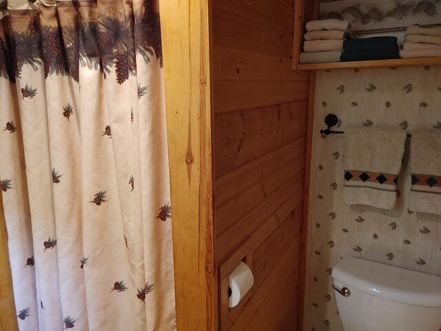 76683 Long Lake Rd, Kettle River Twp, MN 55795 - bathroom featuring toilet and a shower with curtain