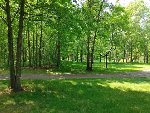 76683 Long Lake Rd, Kettle River Twp, MN 55795 - view of home's community featuring a lawn and a forest view