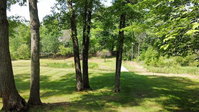 76683 Long Lake Rd, Kettle River Twp, MN 55795 - view of grassy yard