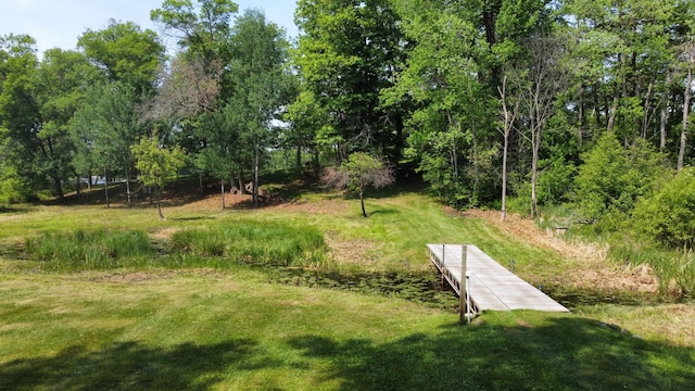 76683 Long Lake Rd, Kettle River Twp, MN 55795 - view of green lawn