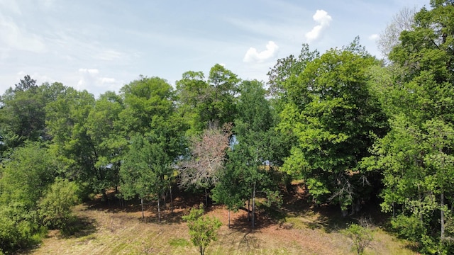 76683 Long Lake Rd, Kettle River Twp, MN 55795 - view of local wilderness