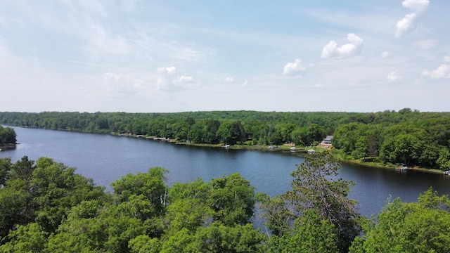 76683 Long Lake Rd, Kettle River Twp, MN 55795 - water view with a heavily wooded area