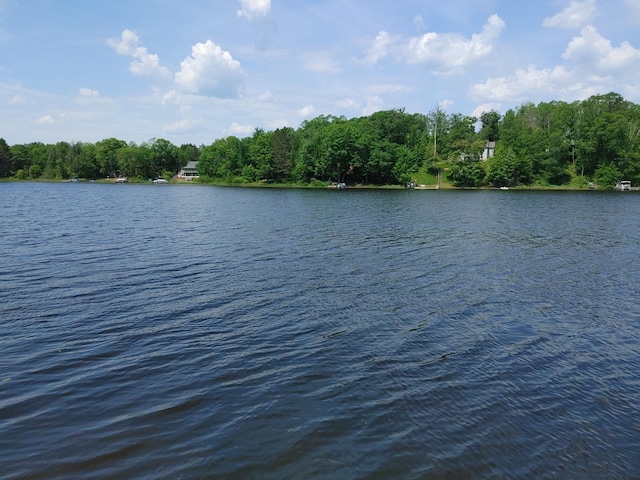 76683 Long Lake Rd, Kettle River Twp, MN 55795 - water view