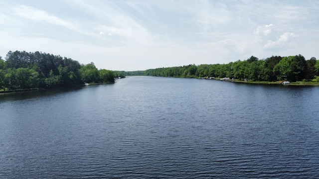 76683 Long Lake Rd, Kettle River Twp, MN 55795 - water view with a heavily wooded area