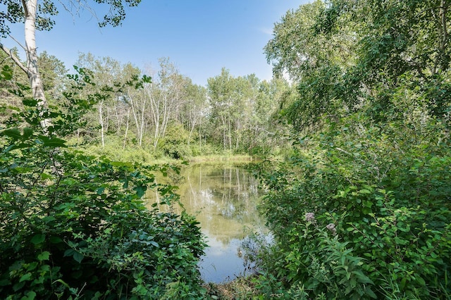 5 Anemone Cir, North Oaks, MN 55127 - water view