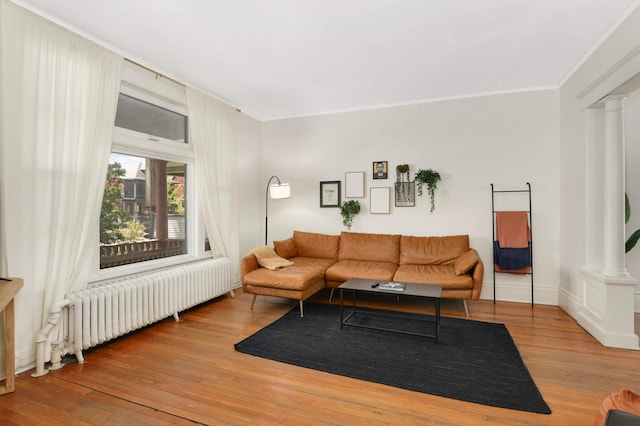 681 Dayton Ave, Saint Paul, MN 55104 - living room with radiator, ornate columns, hardwood / wood-style floors, and ornamental molding