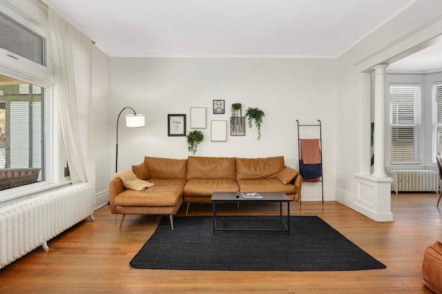 681 Dayton Ave, Saint Paul, MN 55104 - living room with radiator, ornate columns, wood-type flooring, and crown molding