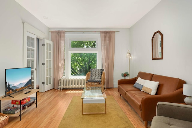 681 Dayton Ave, Saint Paul, MN 55104 - living room with radiator heating unit, light wood finished floors, and french doors