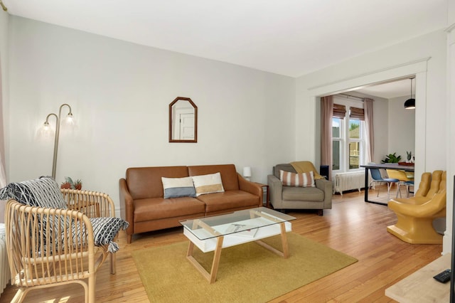 681 Dayton Ave, Saint Paul, MN 55104 - living room with radiator and light wood-type flooring