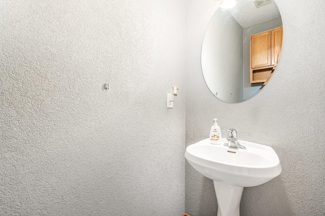 13525 Partridge Cir NW, Andover, MN 55304 - bathroom with a sink