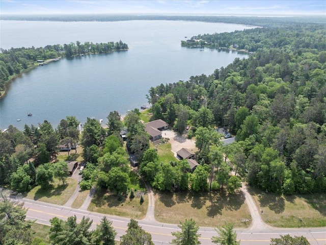 9174 Aloha Ln, Pelican Twp, MN 56472 - view of property location featuring a large body of water and a heavily wooded area