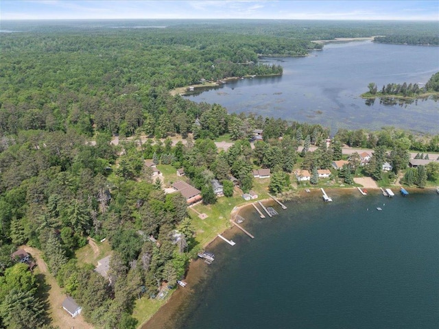 9174 Aloha Ln, Pelican Twp, MN 56472 - aerial view of property's location featuring a forest and a nearby body of water