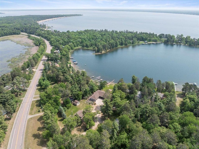 9174 Aloha Ln, Pelican Twp, MN 56472 - aerial overview of property's location with a nearby body of water and a forest