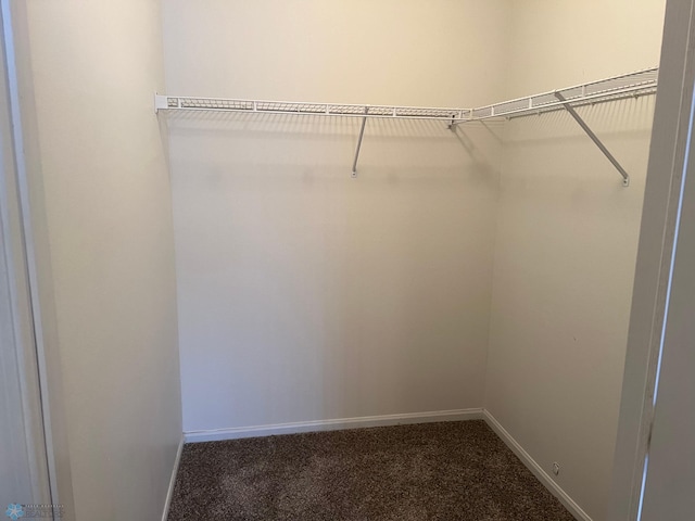 358 30th St N, Moorhead, MN 56560 - walk in closet with dark colored carpet