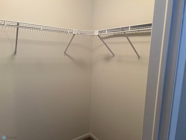 358 30th St N, Moorhead, MN 56560 - view of walk in closet