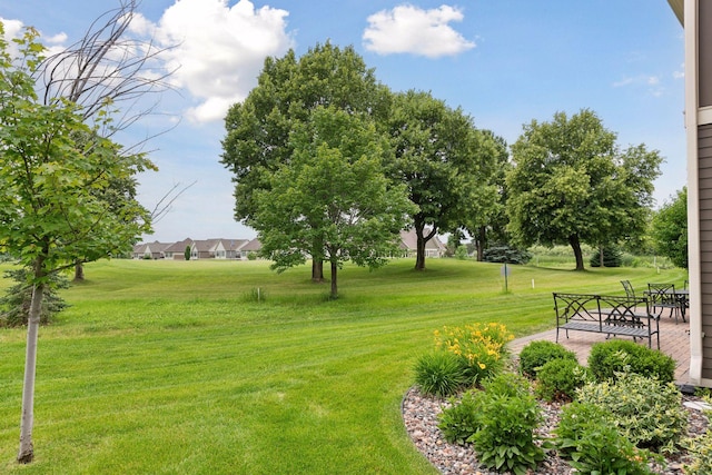 749 Fairway Dr, Medina, MN 55340 - view of green lawn