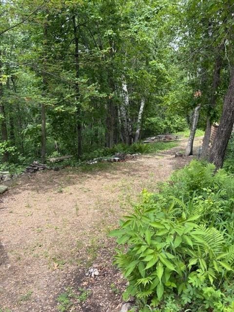 30723 Plumwood Trl, Breezy Point, MN 56472