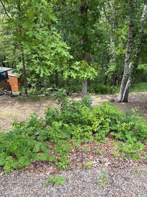 30723 Plumwood Trl, Breezy Point, MN 56472