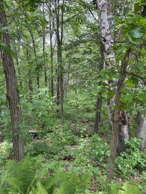 30723 Plumwood Trl, Breezy Point, MN 56472
