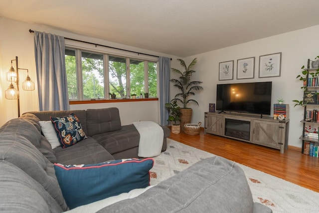 1269 Cleveland Ave N Unit 2B, Saint Paul, MN 55108 - living area with wood finished floors