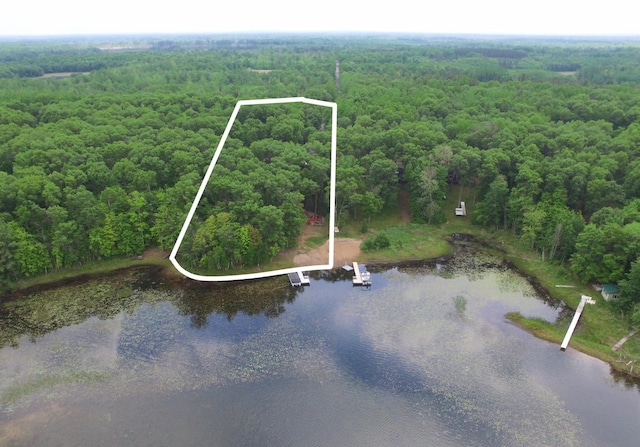 27625 Clear Sky Rd, Jackson Twp, WI 54893 - view of property location featuring a heavily wooded area, a large body of water, and property boundaries highlighted