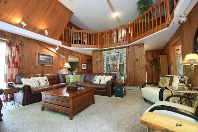 27625 Clear Sky Rd, Jackson Twp, WI 54893 - carpeted living area featuring a baseboard radiator, wooden walls, and high vaulted ceiling