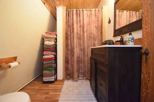27625 Clear Sky Rd, Jackson Twp, WI 54893 - bathroom featuring toilet, vanity, wood finished floors, baseboards, and a shower with shower curtain