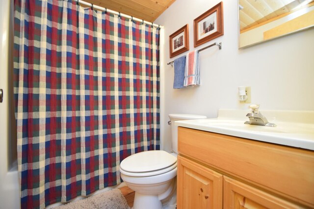 27625 Clear Sky Rd, Jackson Twp, WI 54893 - full bathroom featuring vanity, toilet, a shower with curtain, and wooden ceiling