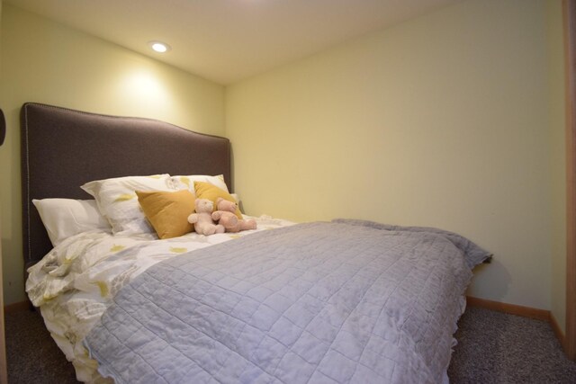 27625 Clear Sky Rd, Jackson Twp, WI 54893 - bedroom featuring carpet, baseboards, and recessed lighting