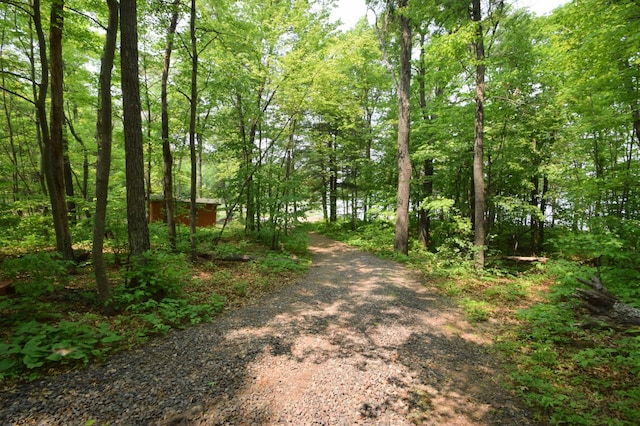 27625 Clear Sky Rd, Jackson Twp, WI 54893 - view of road featuring a forest view
