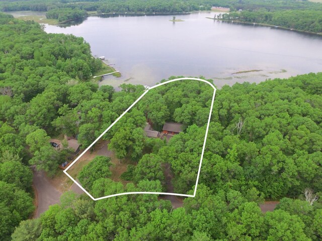 27625 Clear Sky Rd, Jackson Twp, WI 54893 - view of property location featuring a nearby body of water, a forest, and property boundaries highlighted