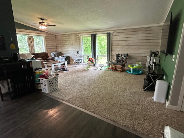 140 Northern Ave NW, Blackduck, MN 56630 - living area with wood finished floors, a ceiling fan, vaulted ceiling, wooden walls, and a textured ceiling