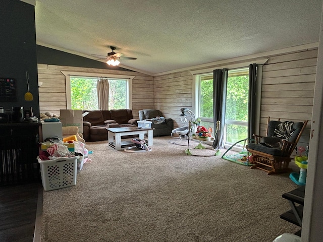 140 Northern Ave NW, Blackduck, MN 56630 - living room featuring wood walls, ceiling fan, a textured ceiling, carpet floors, and lofted ceiling