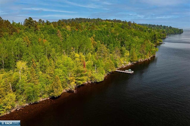 TBD-ParcelA Pine Island, Tower, MN 55790 - photo 1