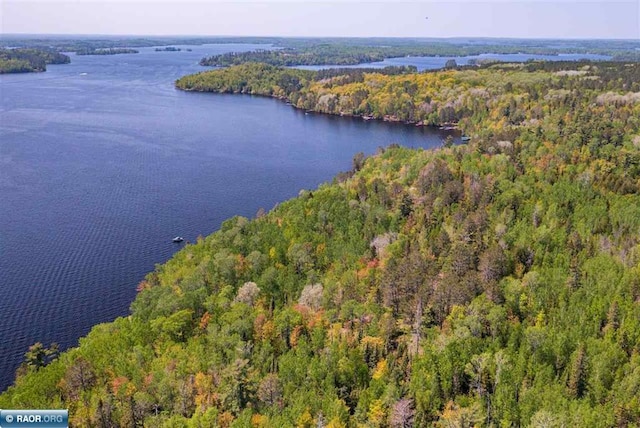 TBD-ParcelA Pine Island, Tower, MN 55790 - photo 3