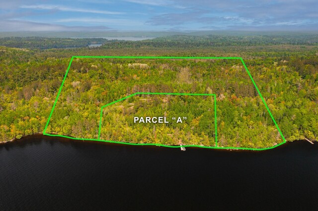 TBD-ParcelA Pine Island, Tower, MN 55790 - photo 4