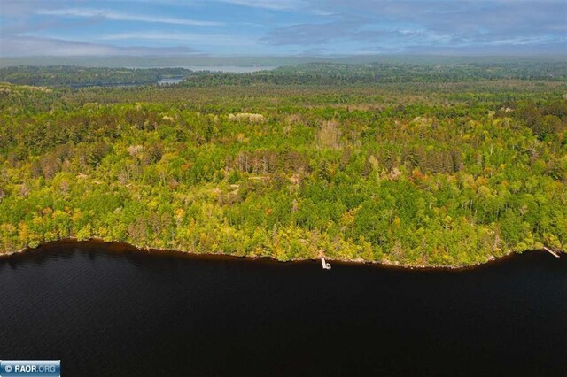 TBD-ParcelA Pine Island, Tower, MN 55790 - photo 5