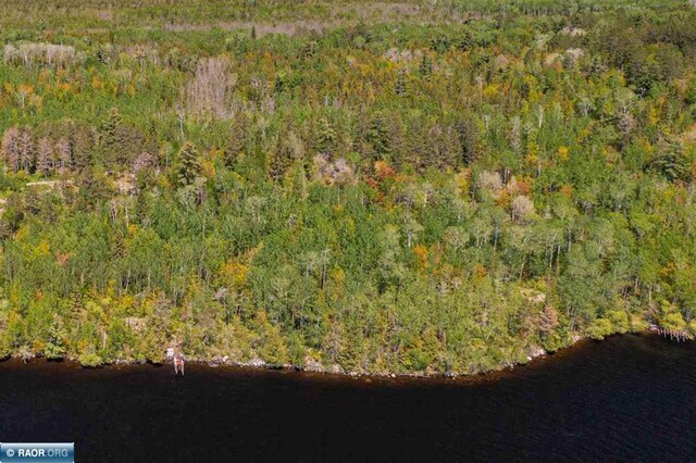 TBD-ParcelA Pine Island, Tower, MN 55790 - photo 6