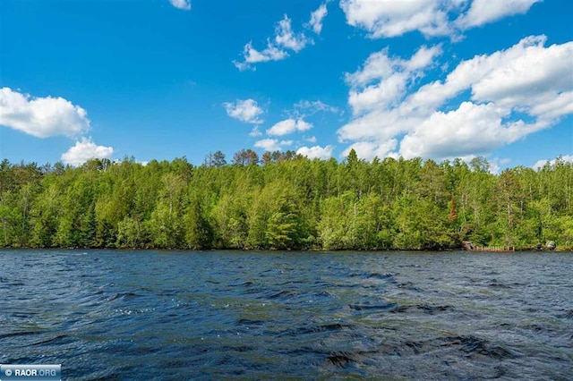 TBD-ParcelA Pine Island, Tower, MN 55790 - photo 7
