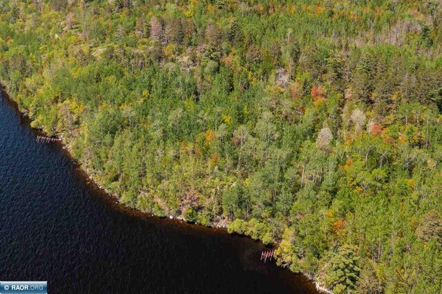 TBD-ParcelA Pine Island, Tower, MN 55790 - photo 8