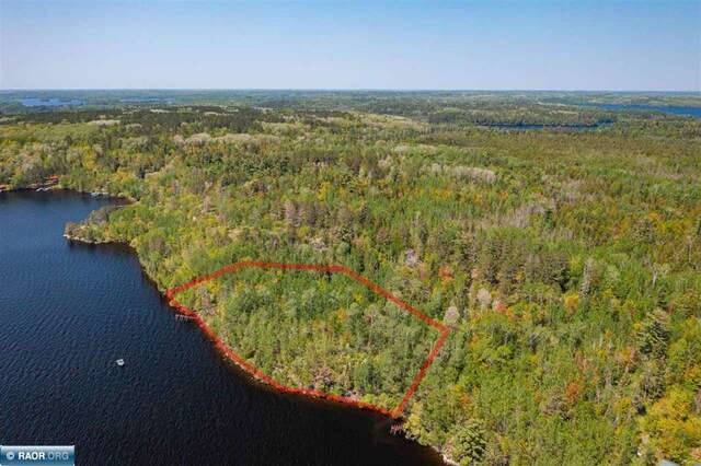 TBD-ParcelA Pine Island, Tower, MN 55790 - photo 9
