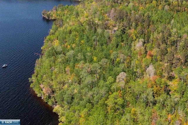 TBD-ParcelA Pine Island, Tower, MN 55790 - photo 10