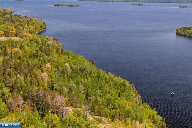 TBD-ParcelA Pine Island, Tower, MN 55790 - photo 11