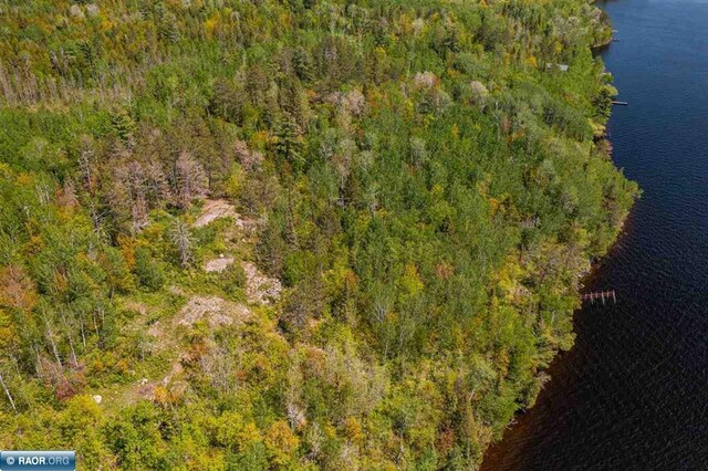 TBD-ParcelA Pine Island, Tower, MN 55790 - photo 12