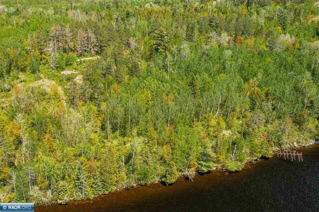 TBD-ParcelA Pine Island, Tower, MN 55790 - photo 13