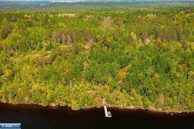 TBD-ParcelA Pine Island, Tower, MN 55790 - photo 14