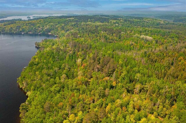 TBD-ParcelA Pine Island, Tower, MN 55790 - photo 15